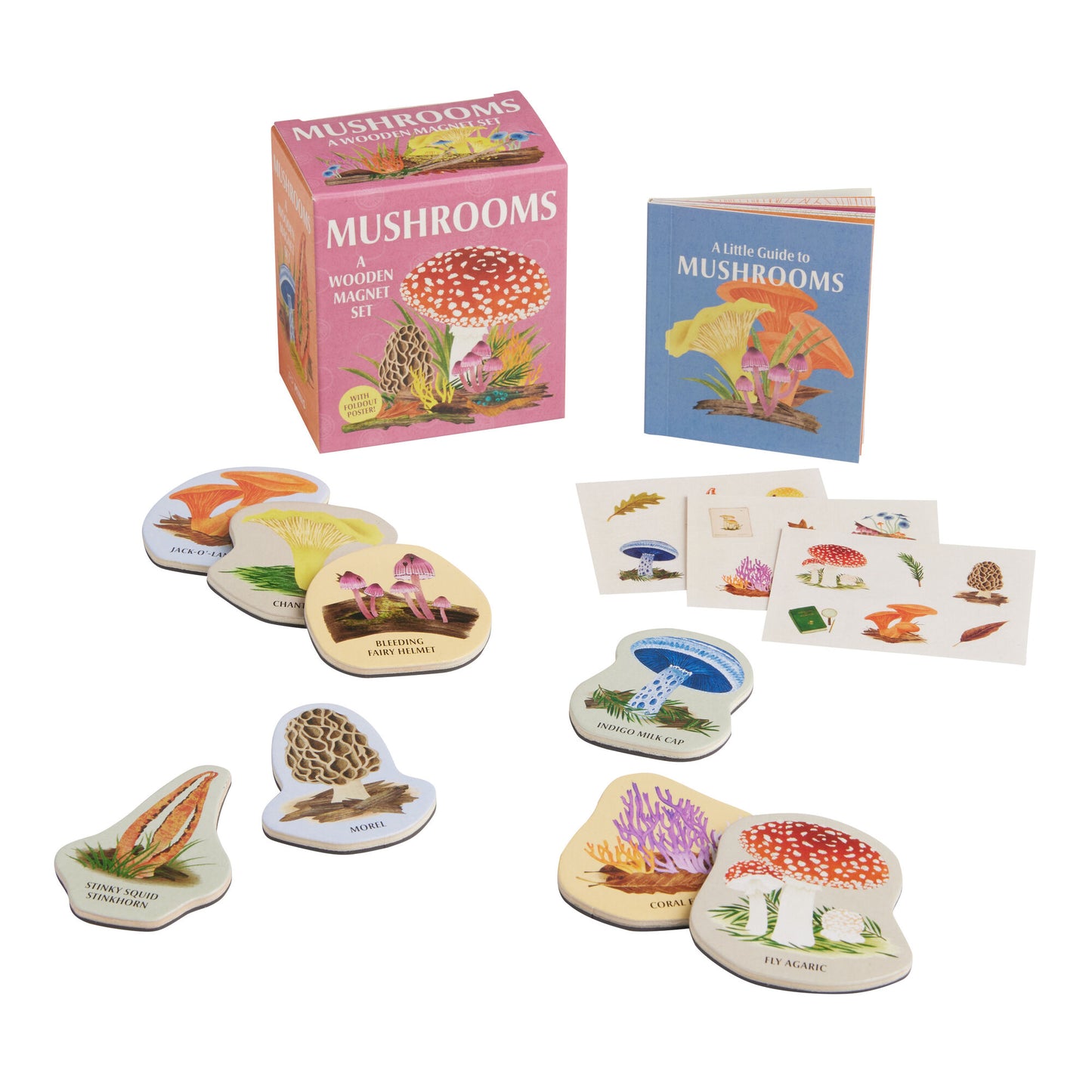Mushrooms: A Wooden Magnet Set