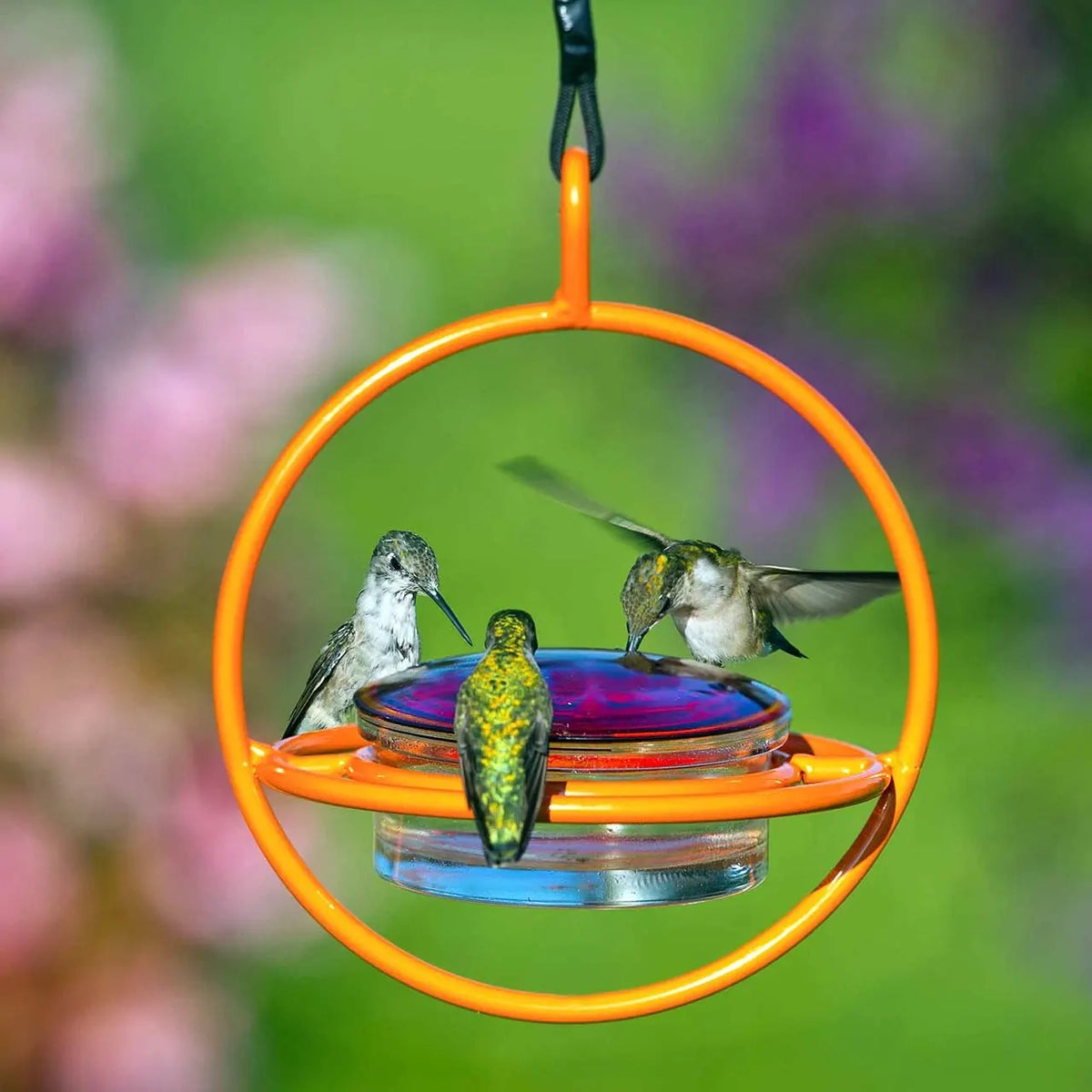 Mosaic Birds Hummble Bold Hummingbird Feeder