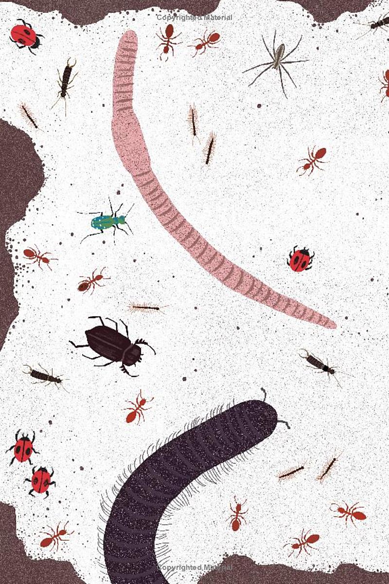 Up in the Garden and Down in the Dirt