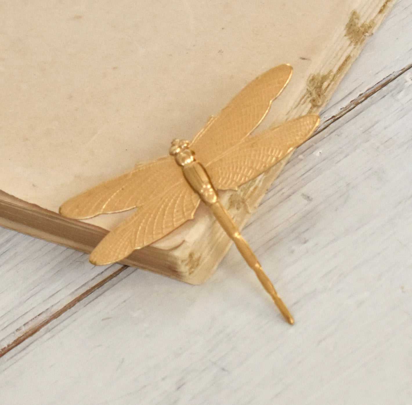 Dragonfly Brooch
