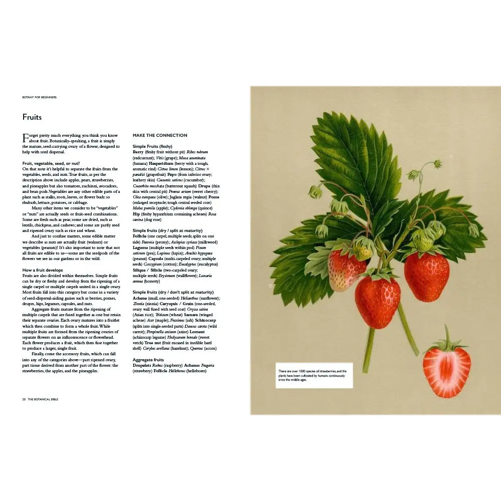The Botanical Bible