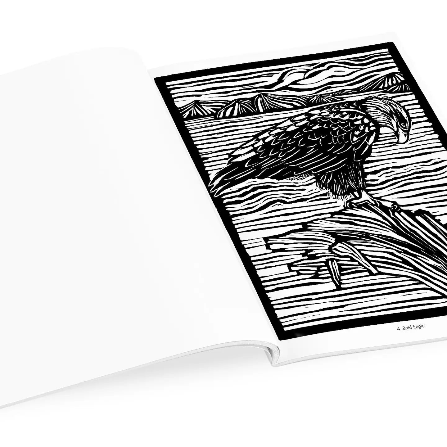 Molly Hashimoto: Birds Coloring Book