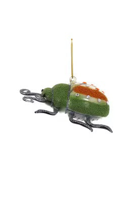 Fanciful Insect
