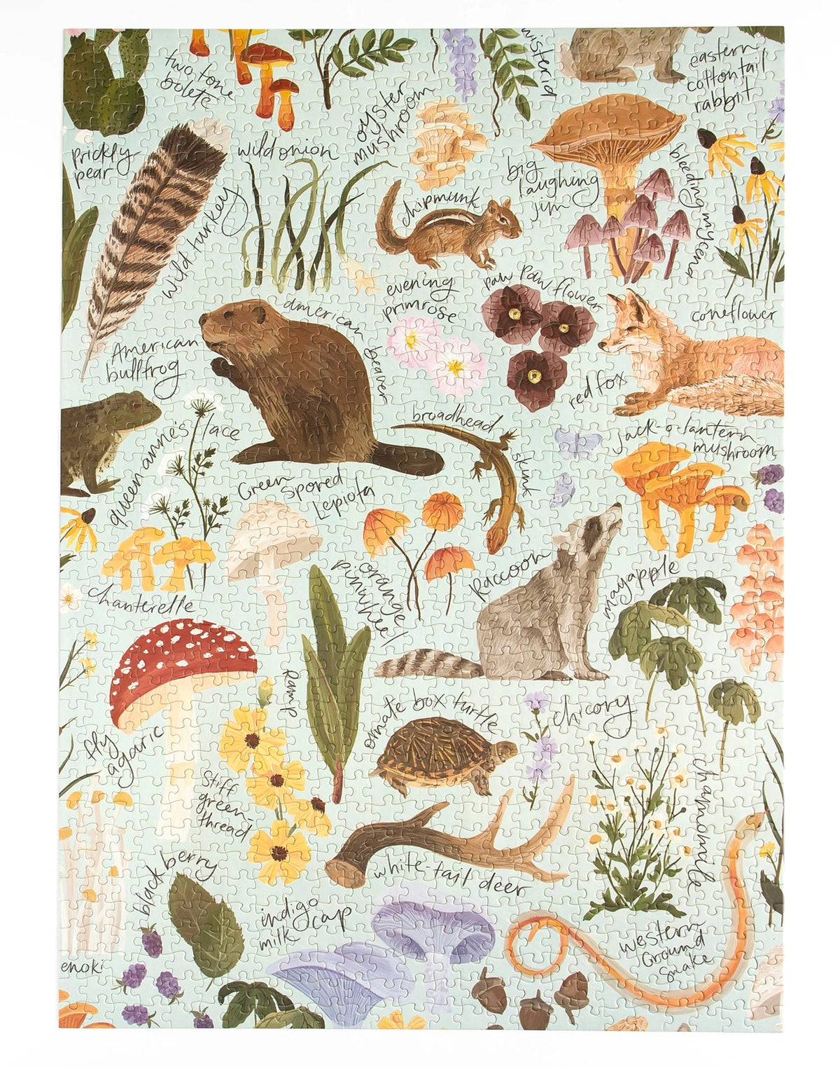 Flora and Fauna 1000 Piece Puzzle