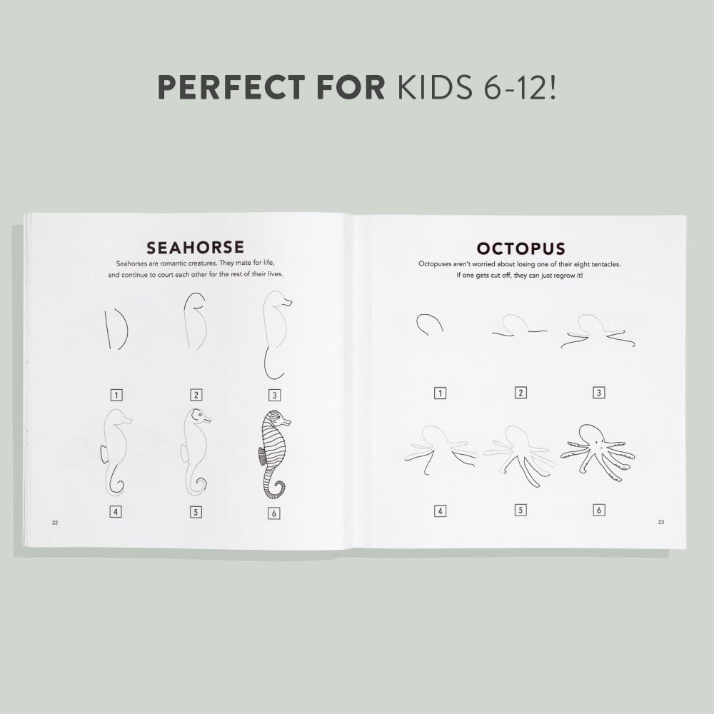 How to Draw Under the Sea for Kids