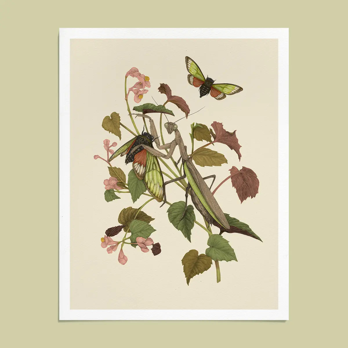Giclee Print Mantis & Cicadas