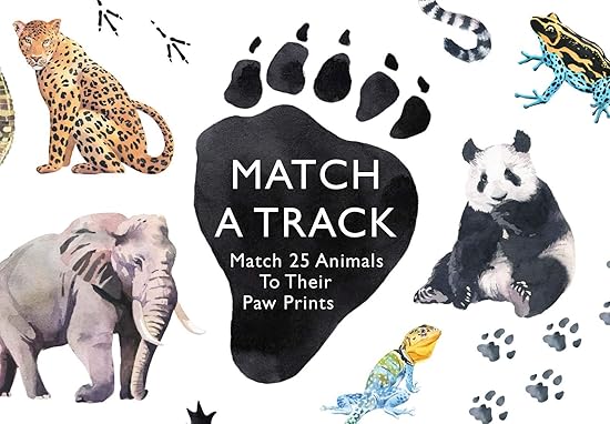 Nature Matching Memory Game