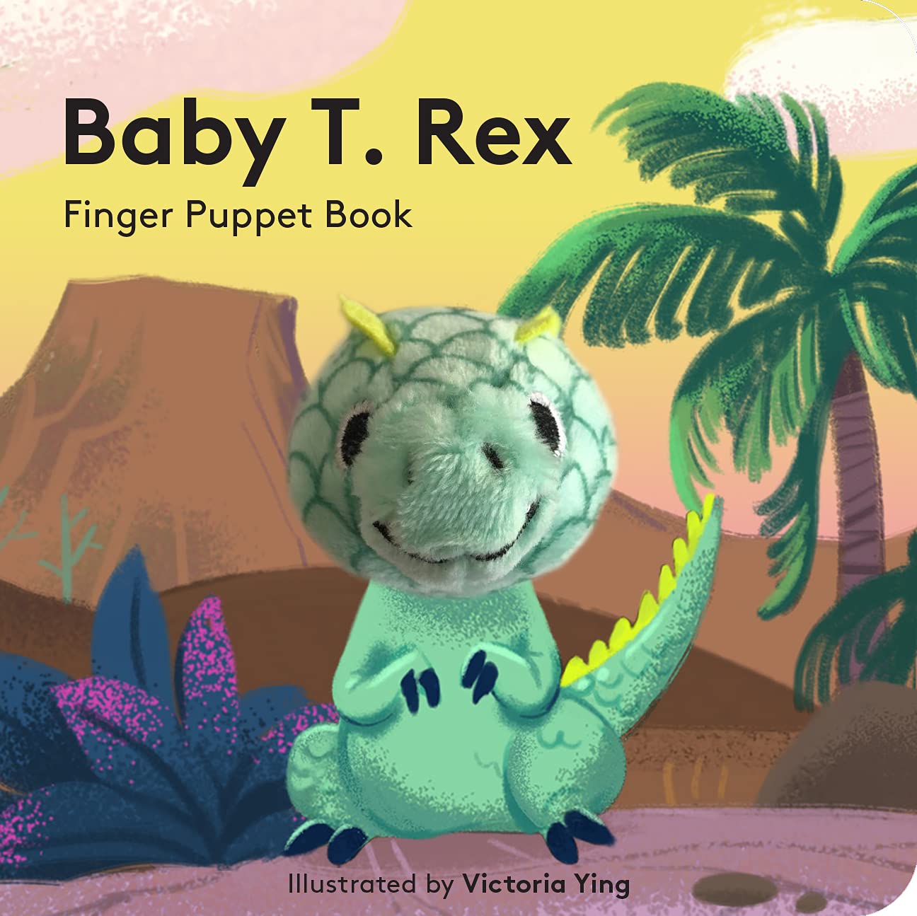 Finger Puppet Book