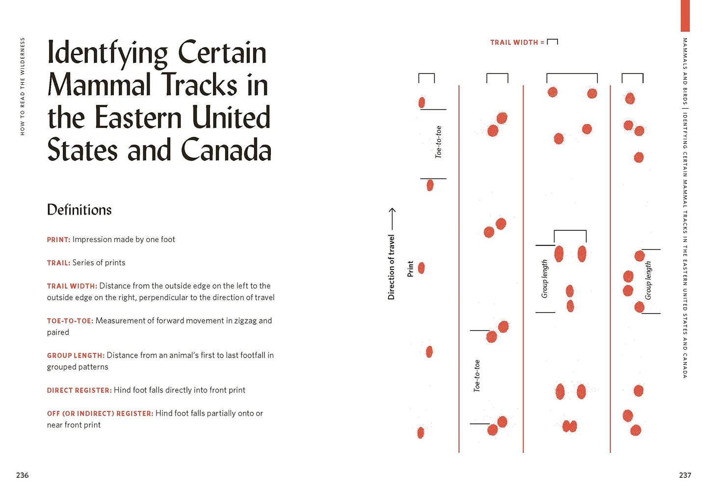 How To Read The Wilderness