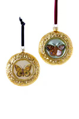 Framed Butterfly