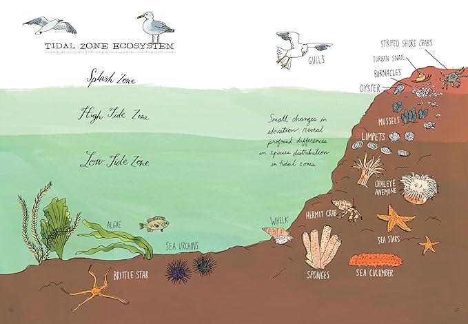 Ocean Anatomy: The Curious Parts & Pieces of the World Under the Sea