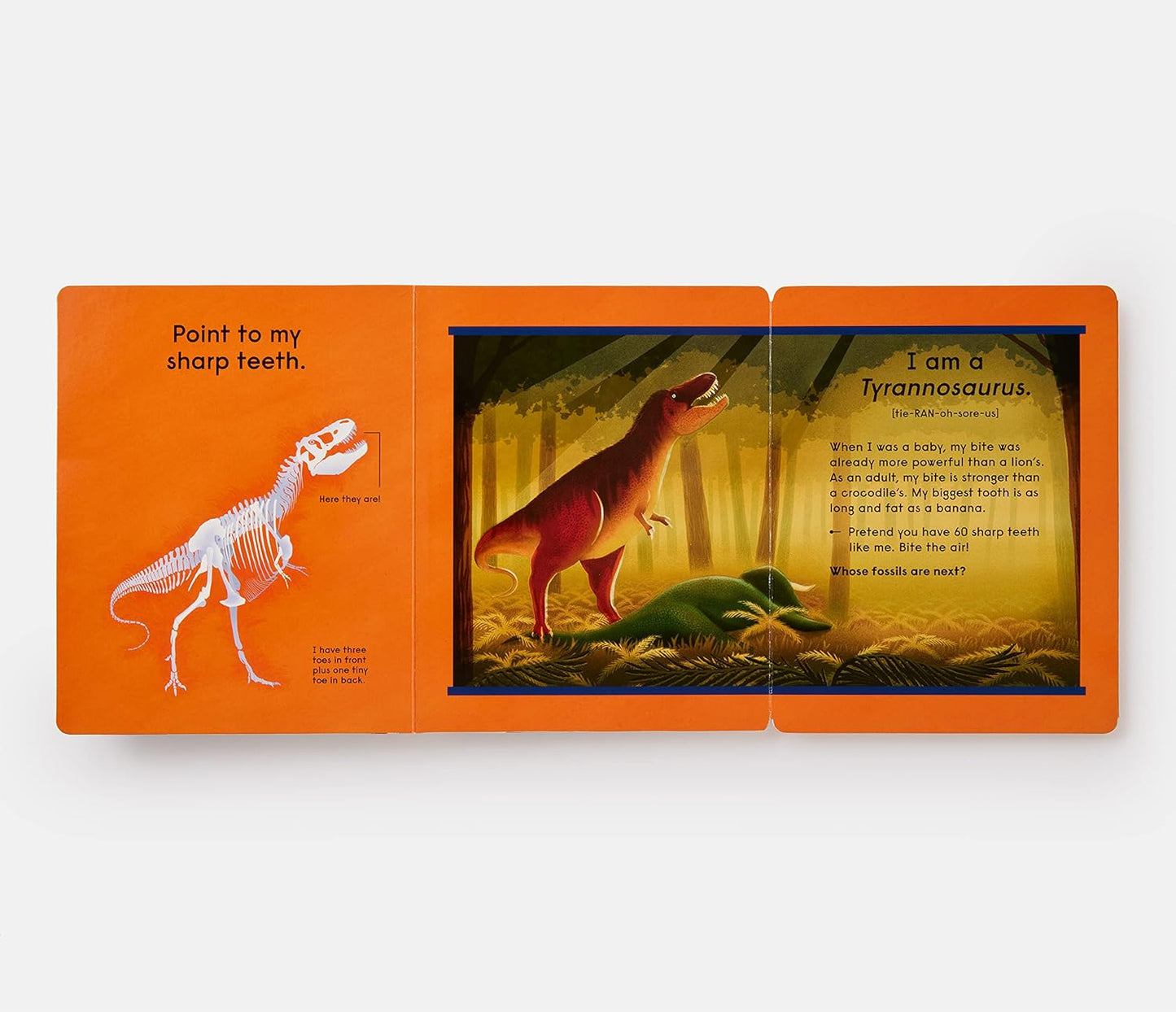 Who's That Dinosaur?: An Animal Guessing Game