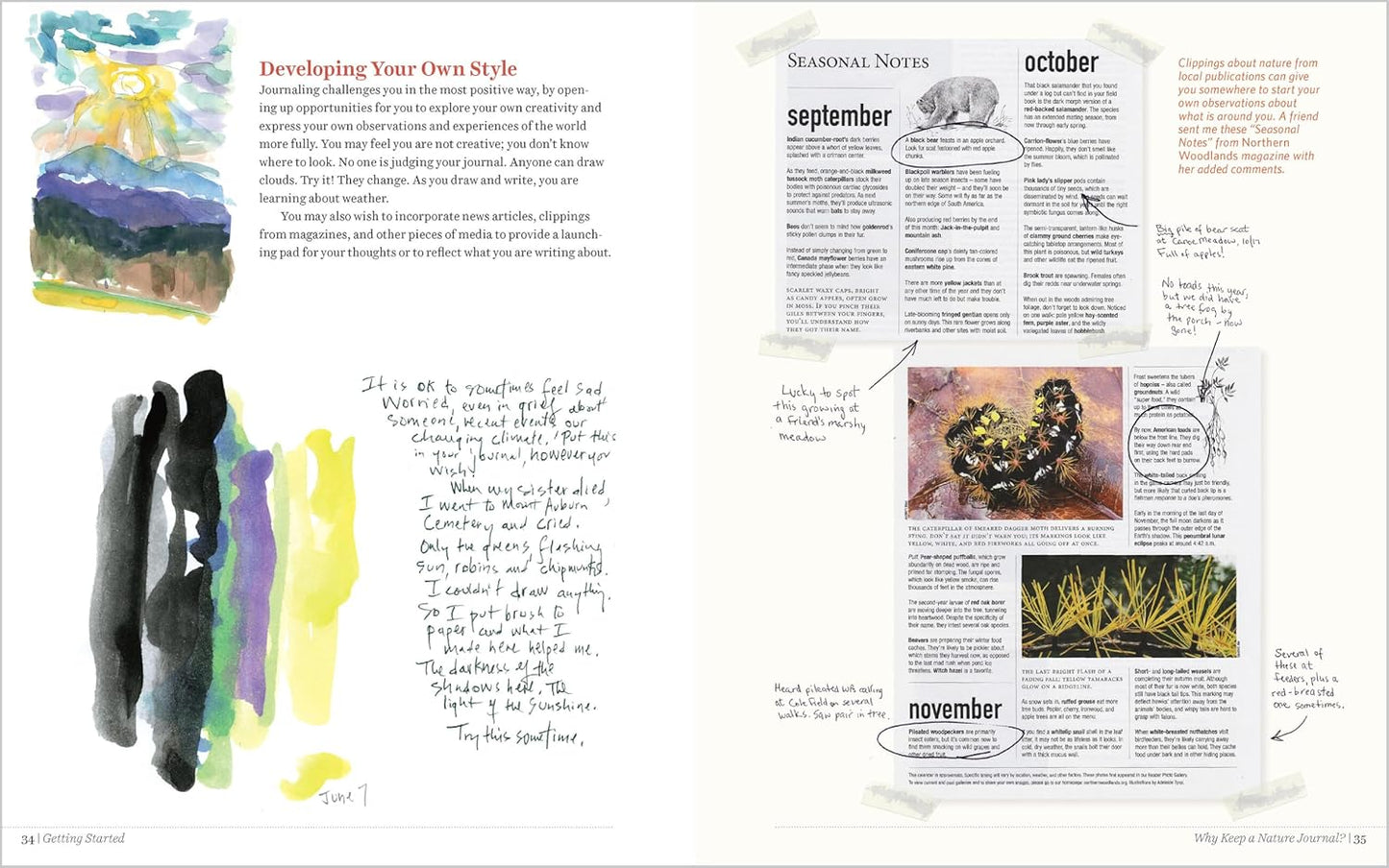 Keeping A Nature Journal