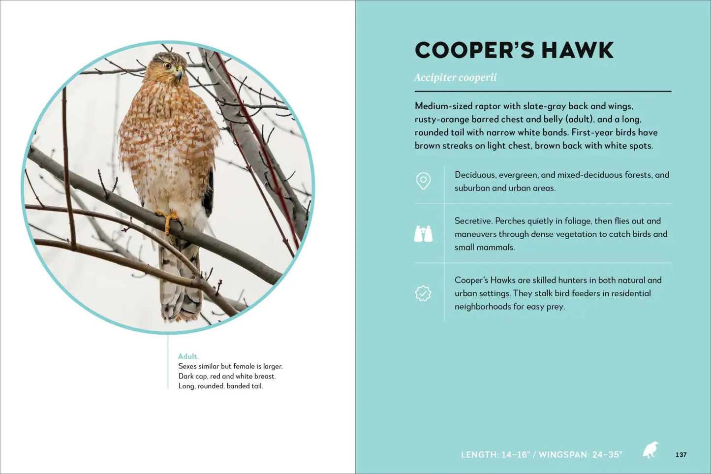 Birds of the Great Lakes