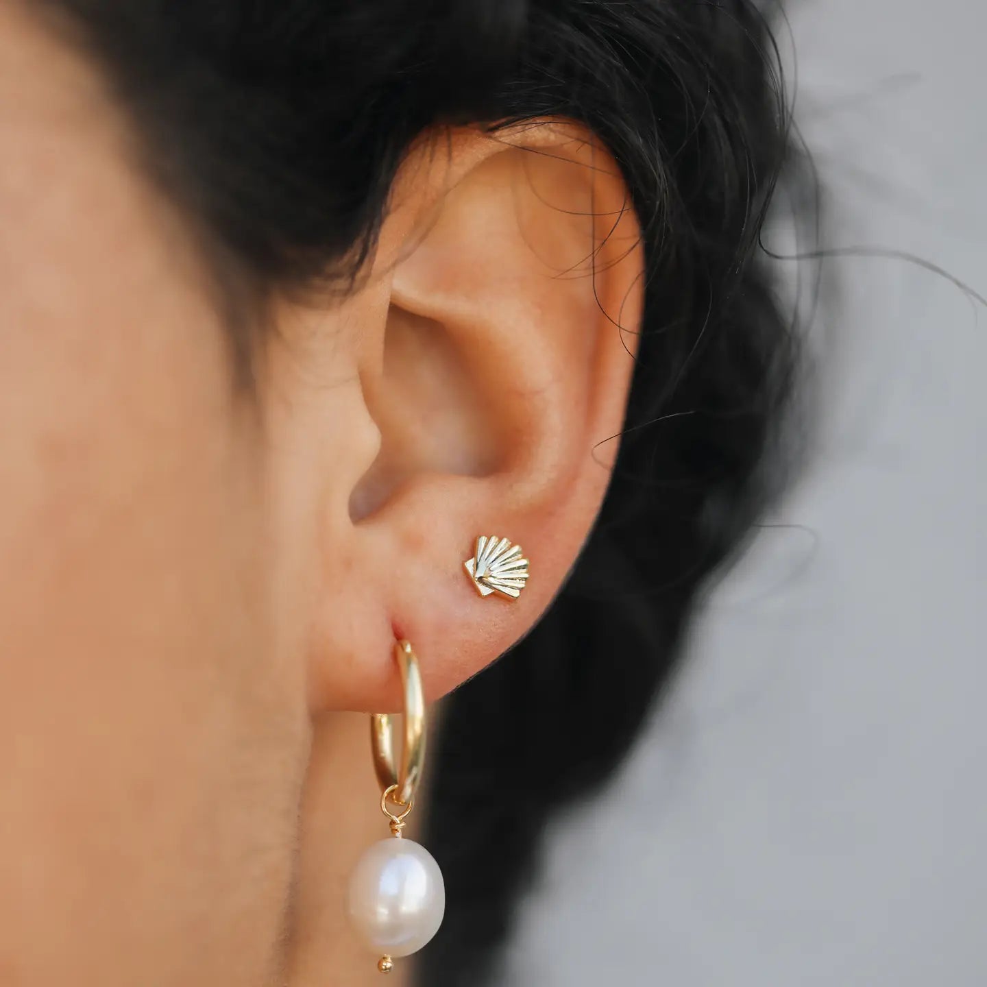 Seashell Earrings