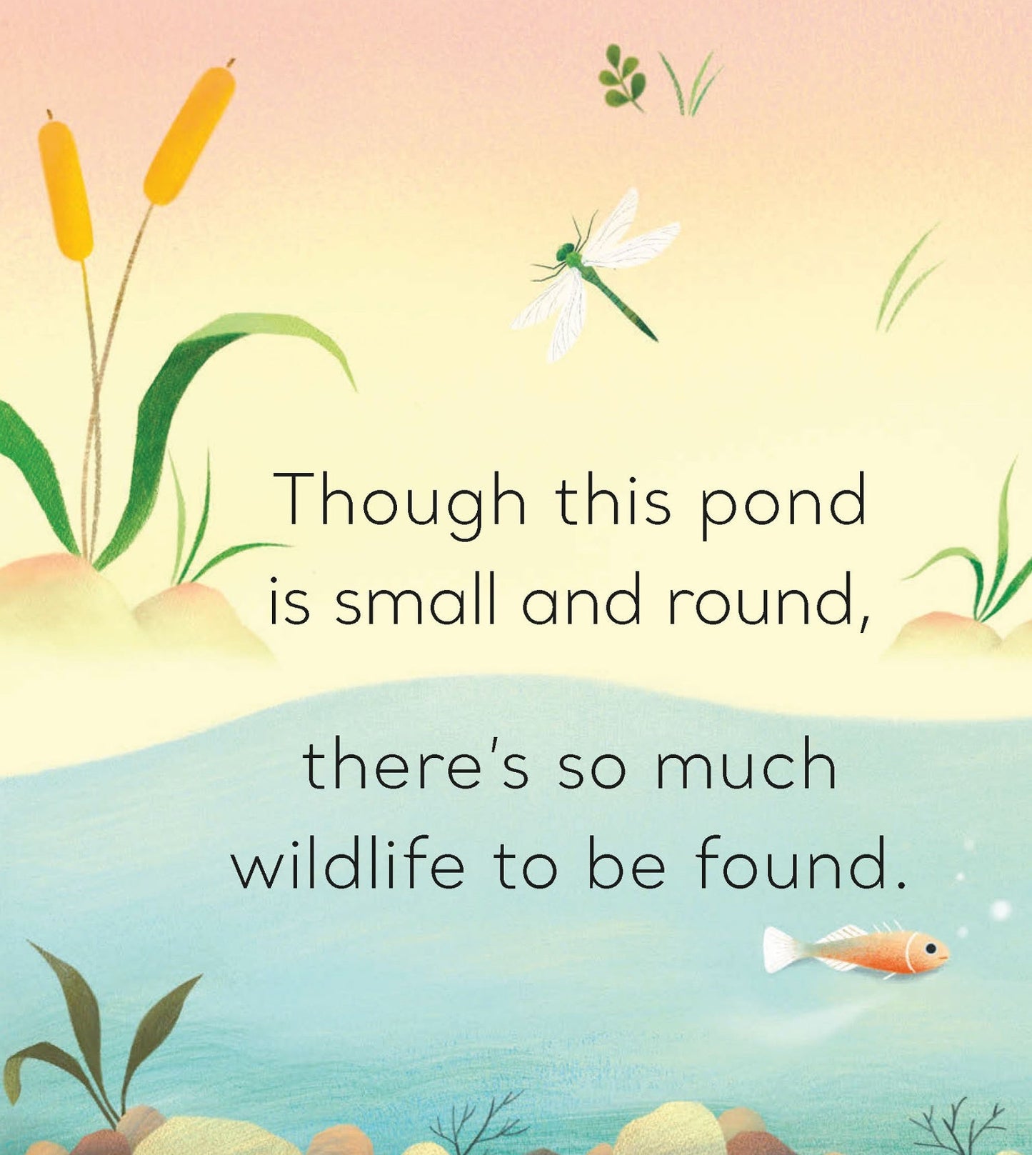 In the Pond: A Magic Flaps Book