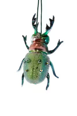 Stag Horn Beetle Ornament
