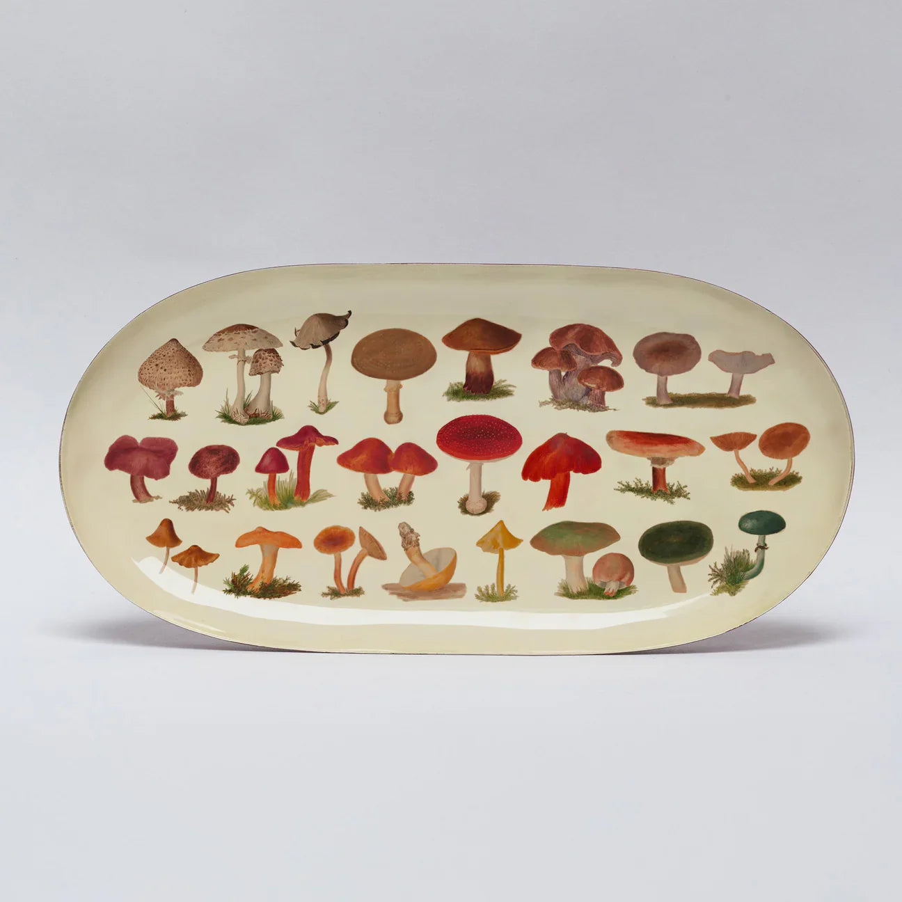 Enamel Printed Tray