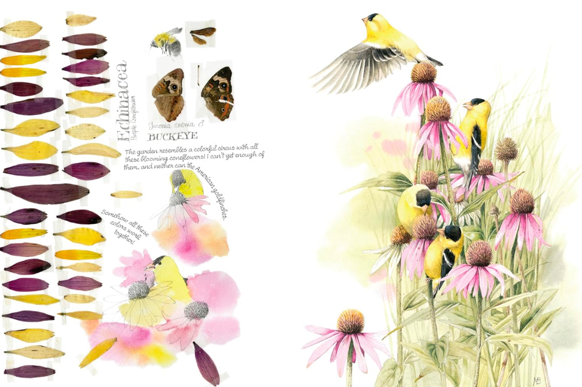 Inspired By Nature Sketchbook