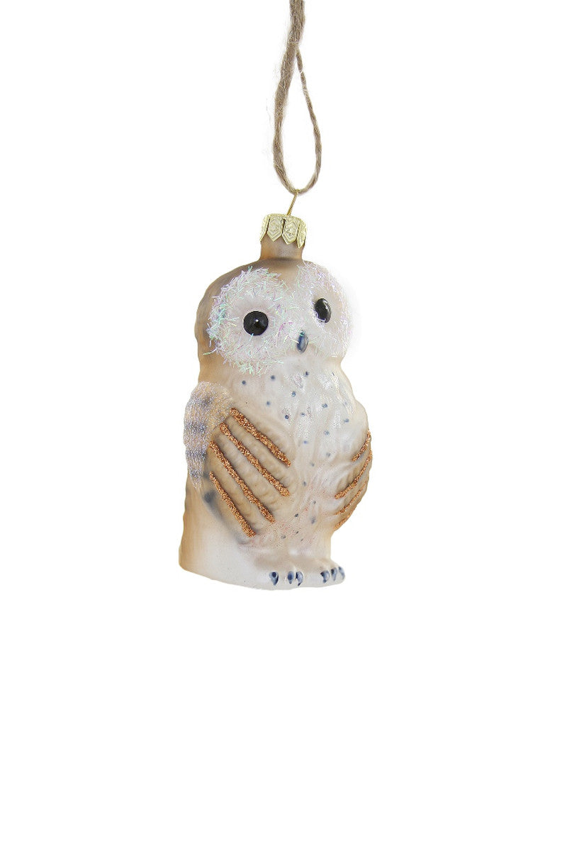 Bashful Owl