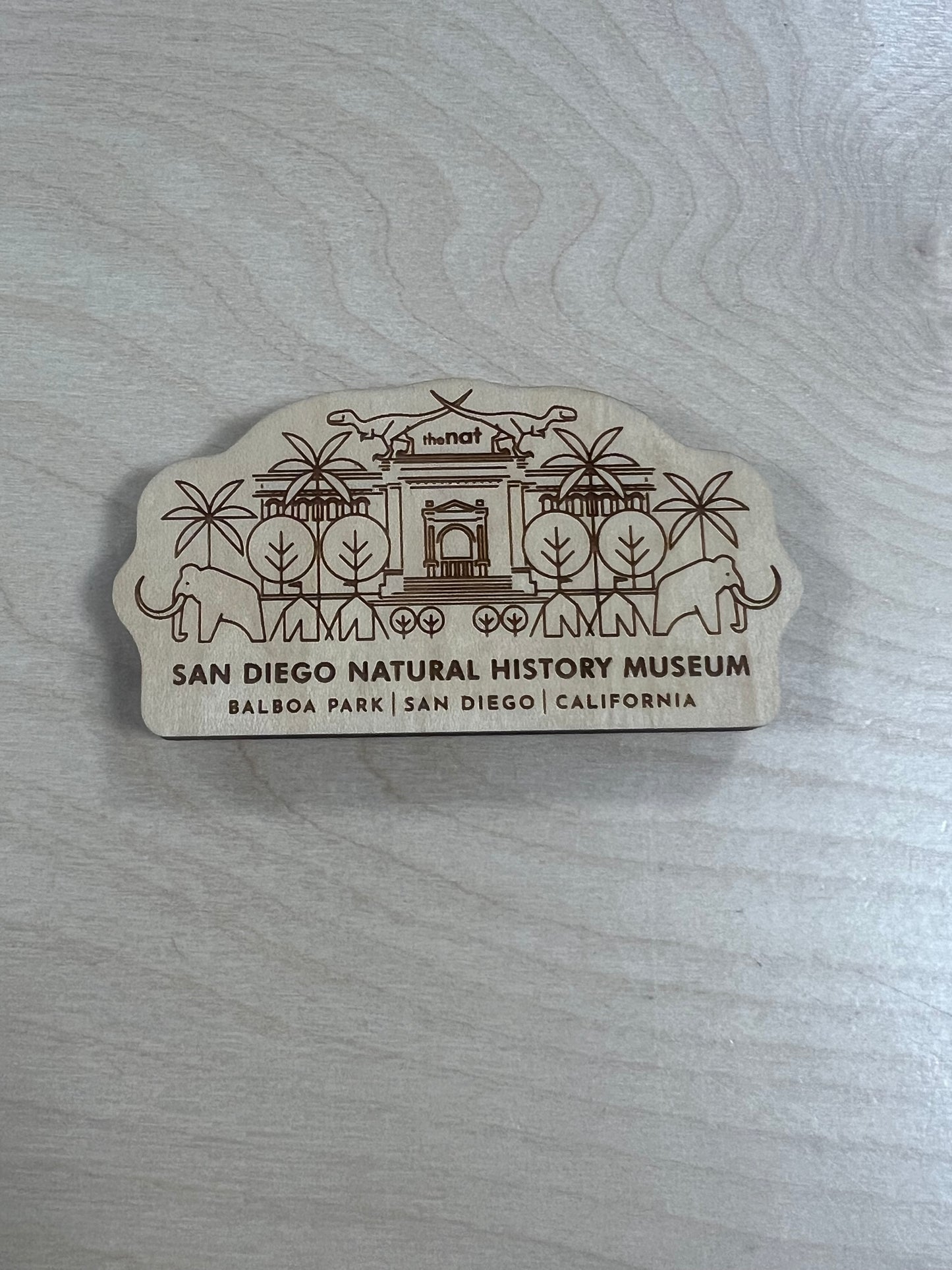 Steamer Lane Design Magnets