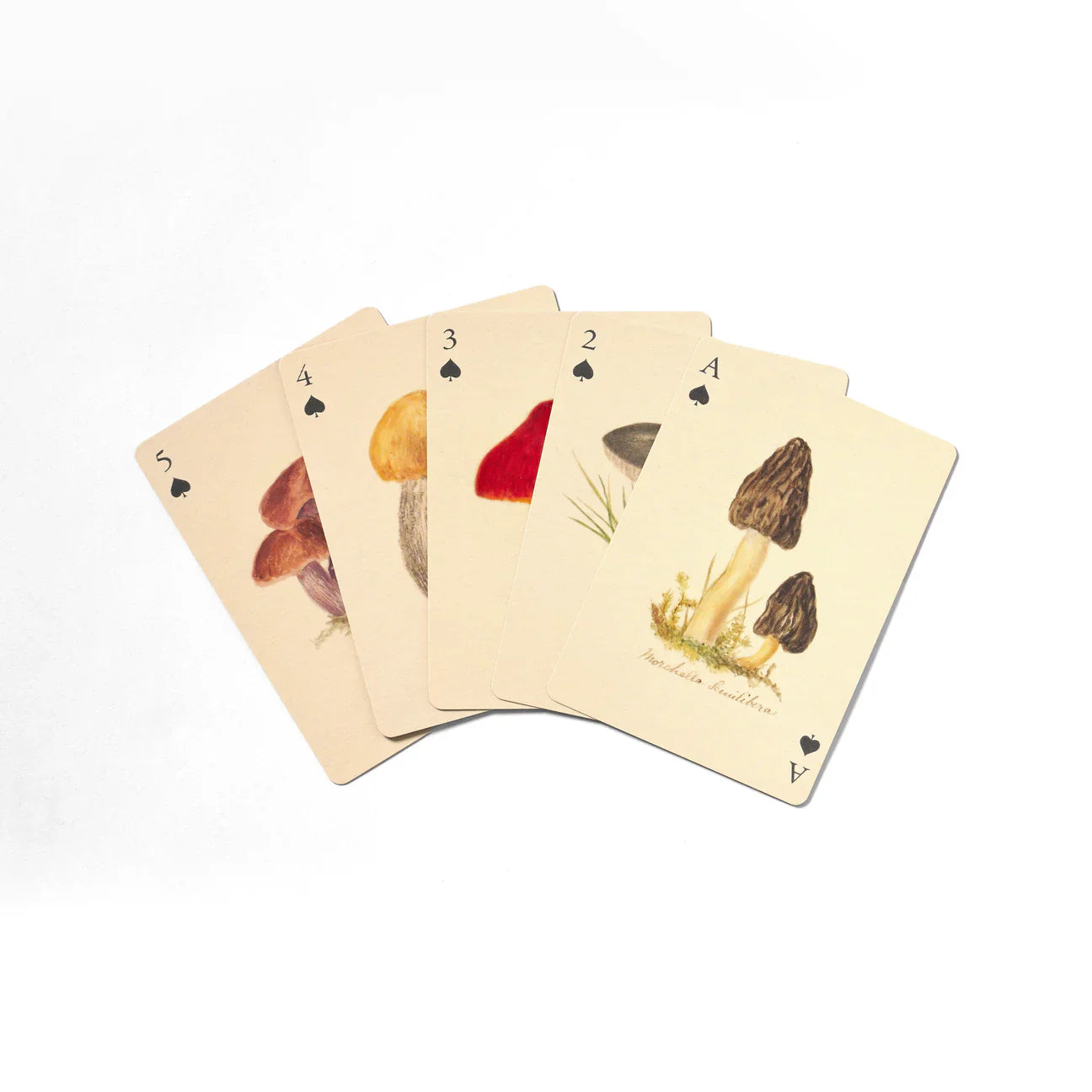 Playing Cards, 2 Deck