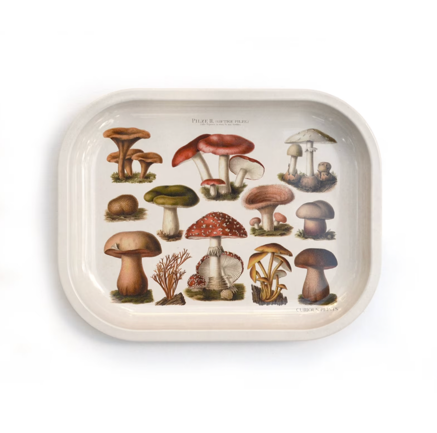 Small Tray