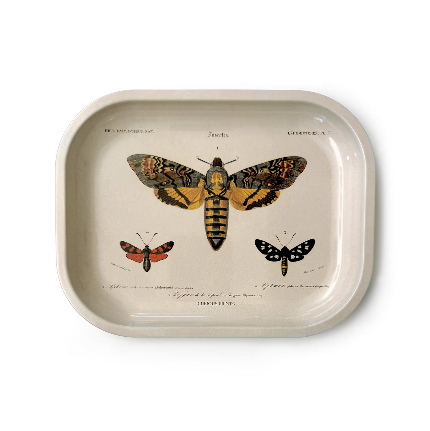 Small Tray
