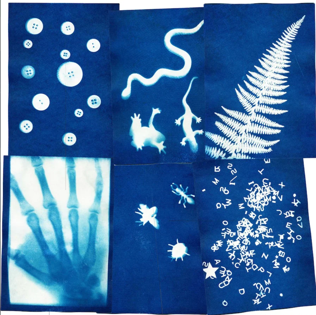 Sunography Paper Sheets