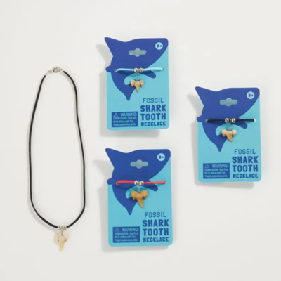 Shark Tooth Necklace