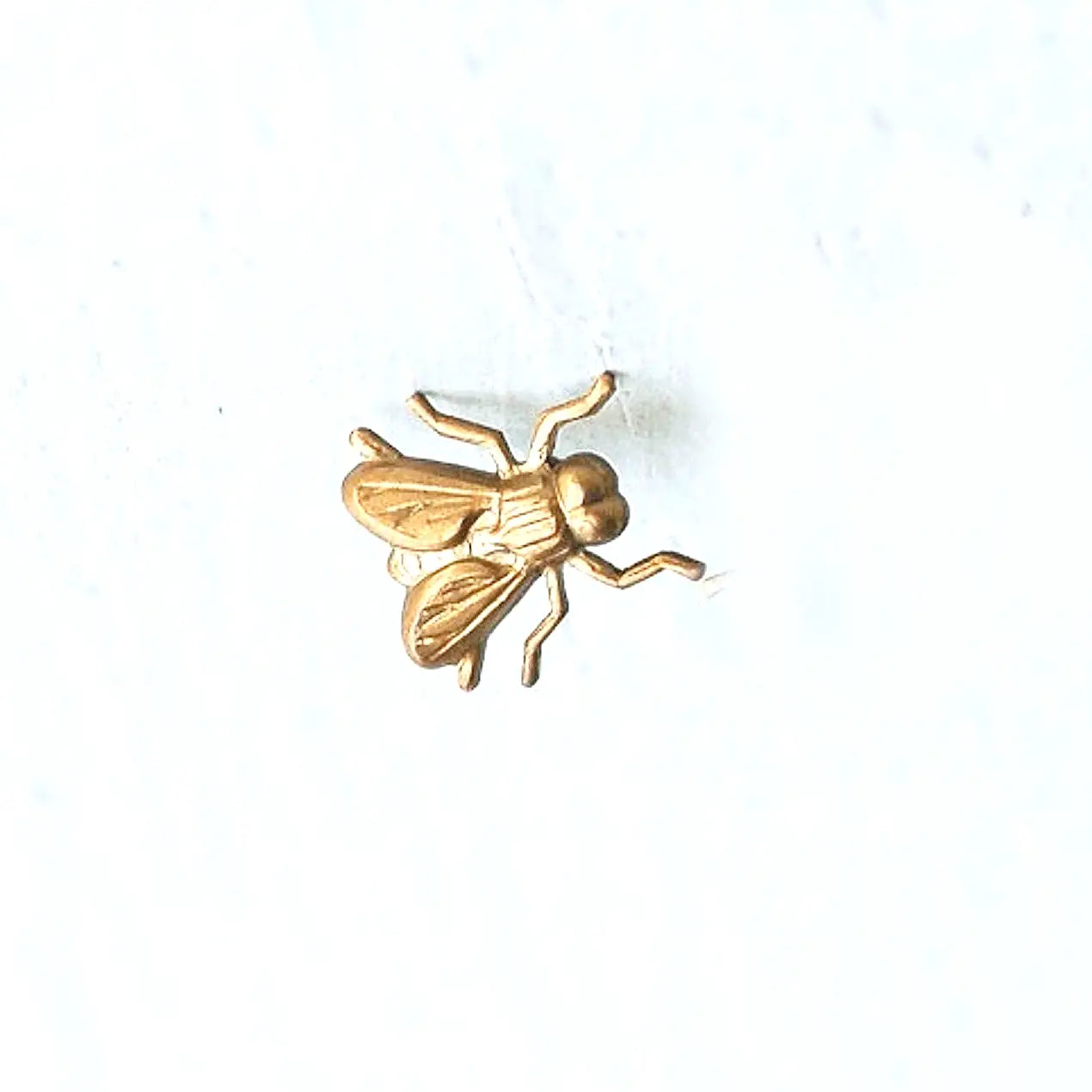Housefly Brooch