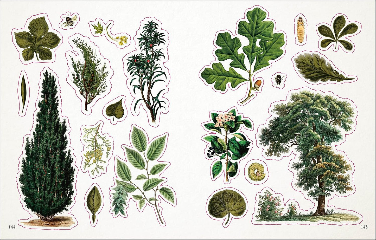 The Botanist Sticker Anthology