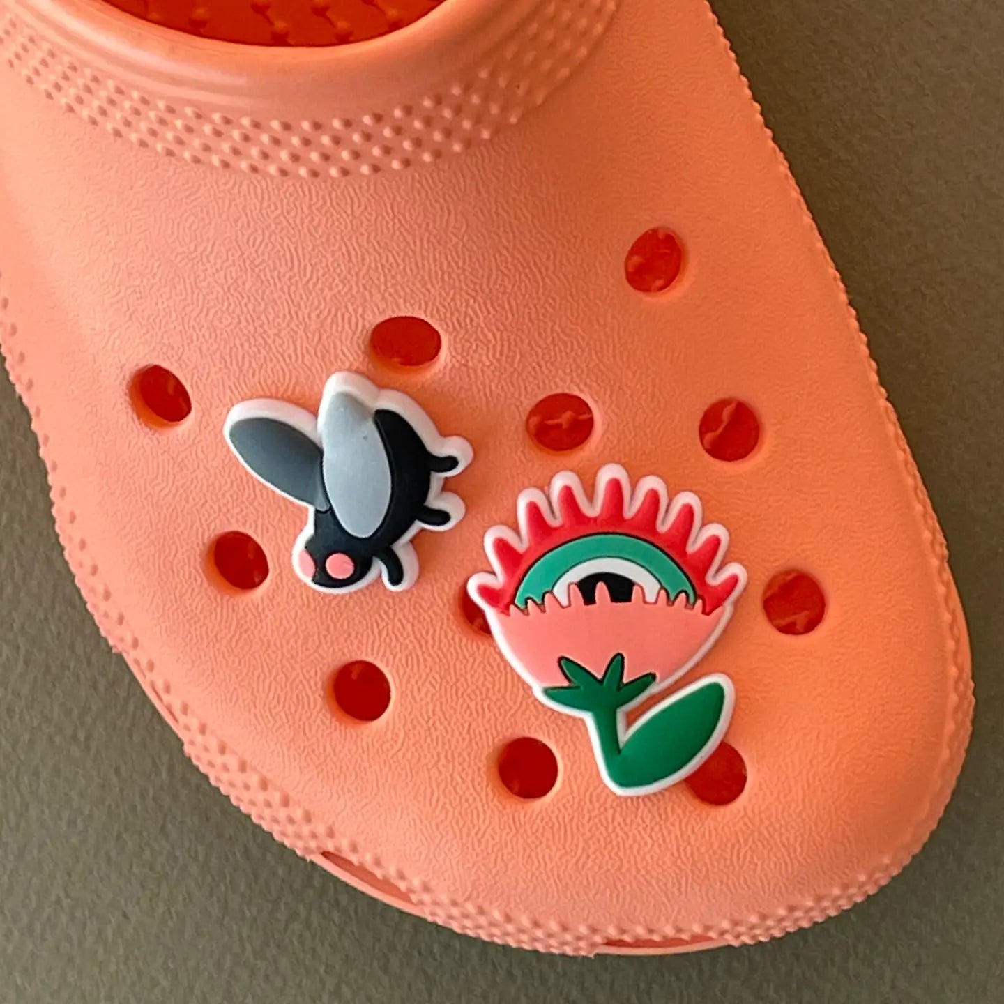 Clog Charms