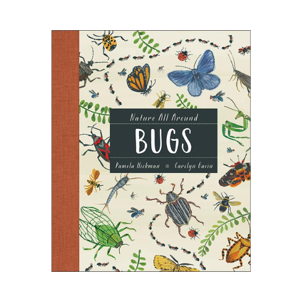 Nature All Around: Bugs