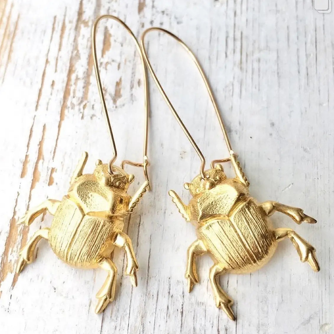Beetle Earrings