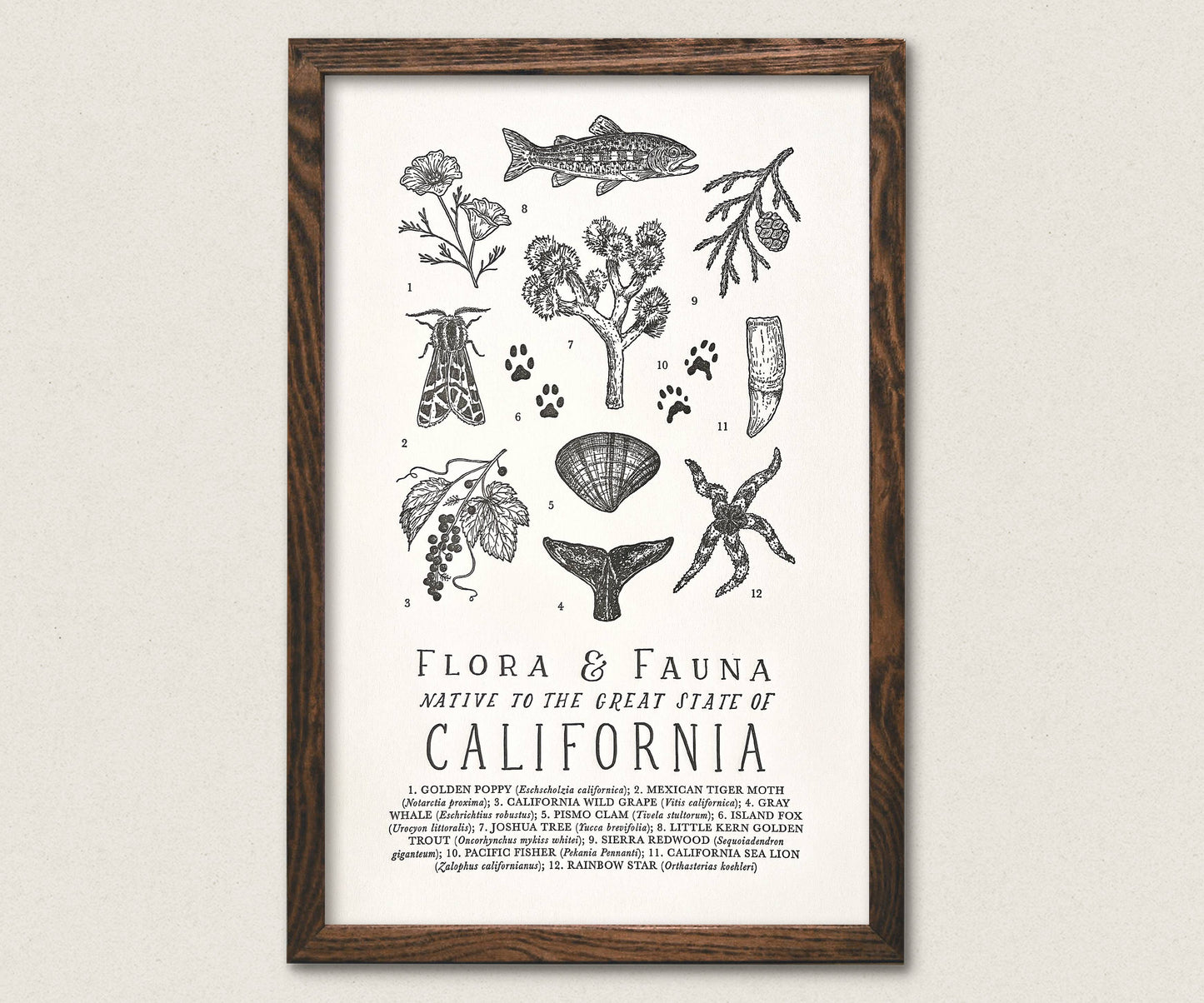 California Field Guide Art Print