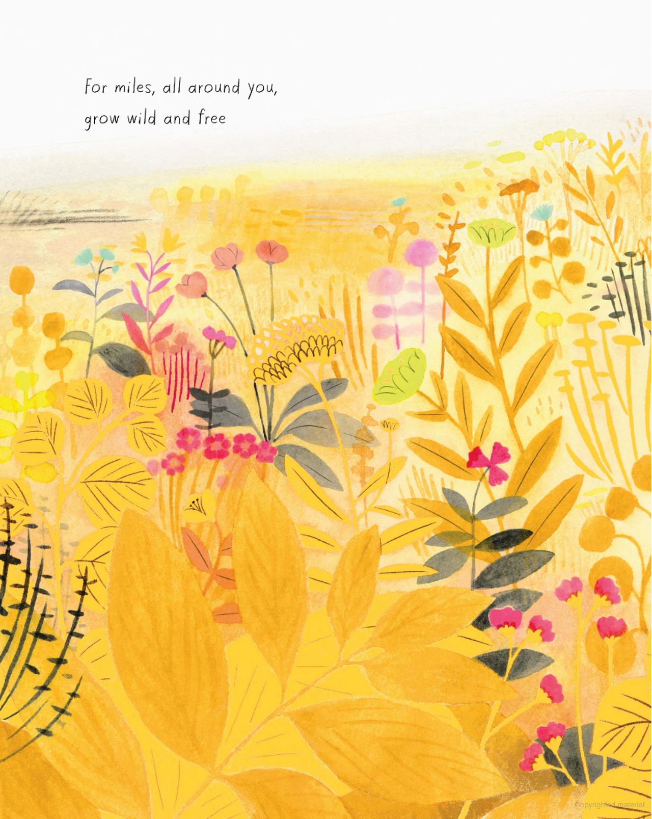 The Honeybee