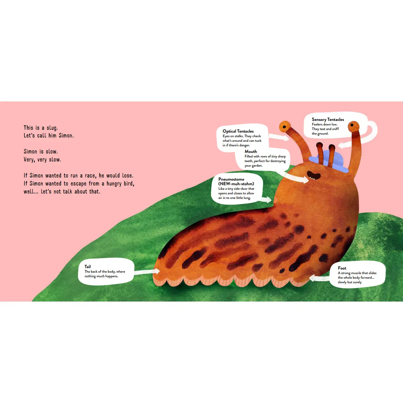 This Is What A Slug Does