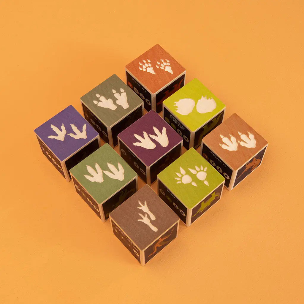 Dinosaur Blocks