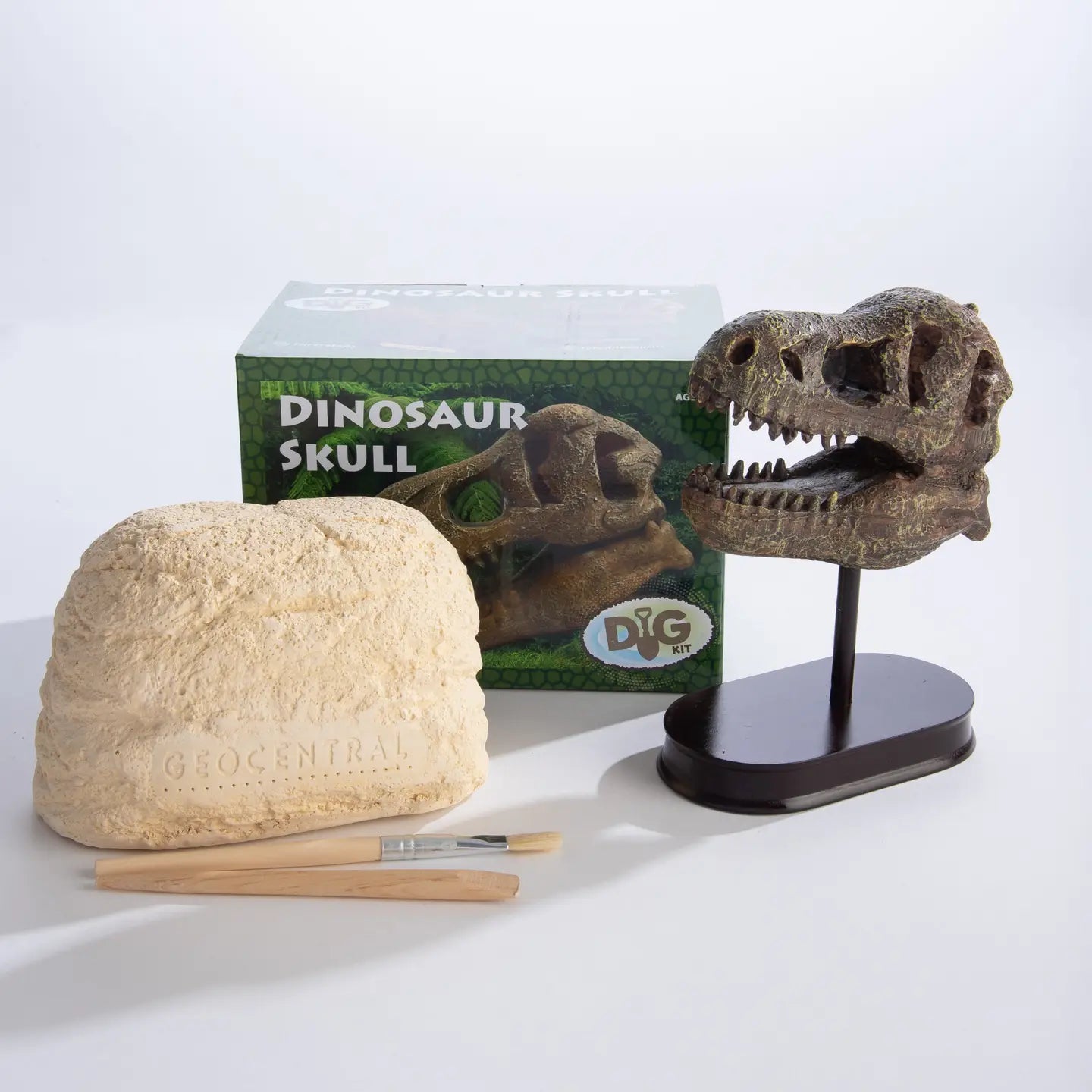 Dinosaur Skull Dig Kit