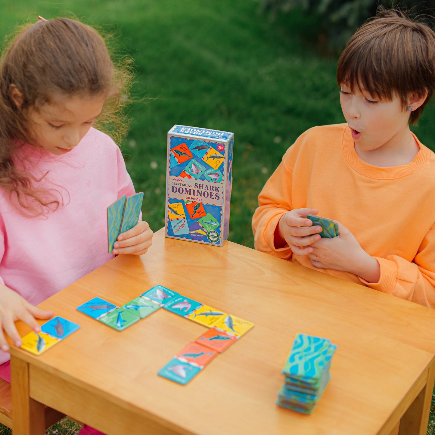 Giant Shiny Dominoes