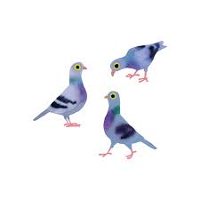 Tattoo Pair