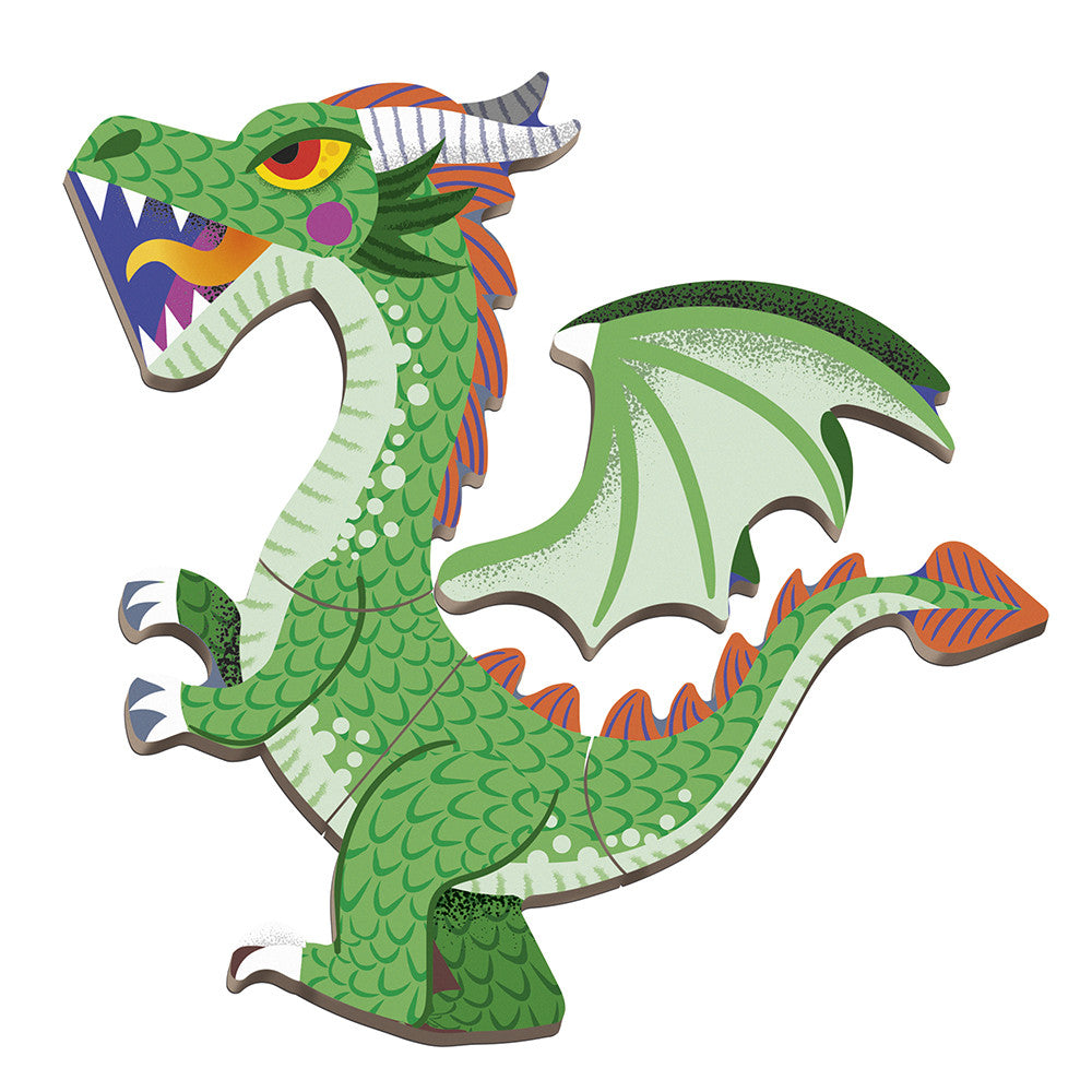 Dragon Magnetic Book