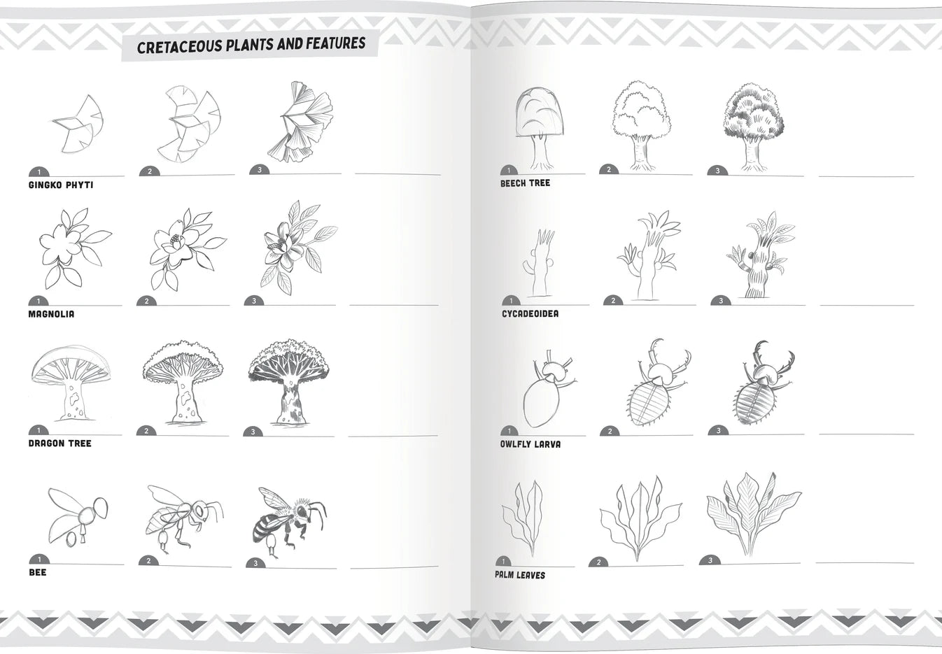 Learn to Draw