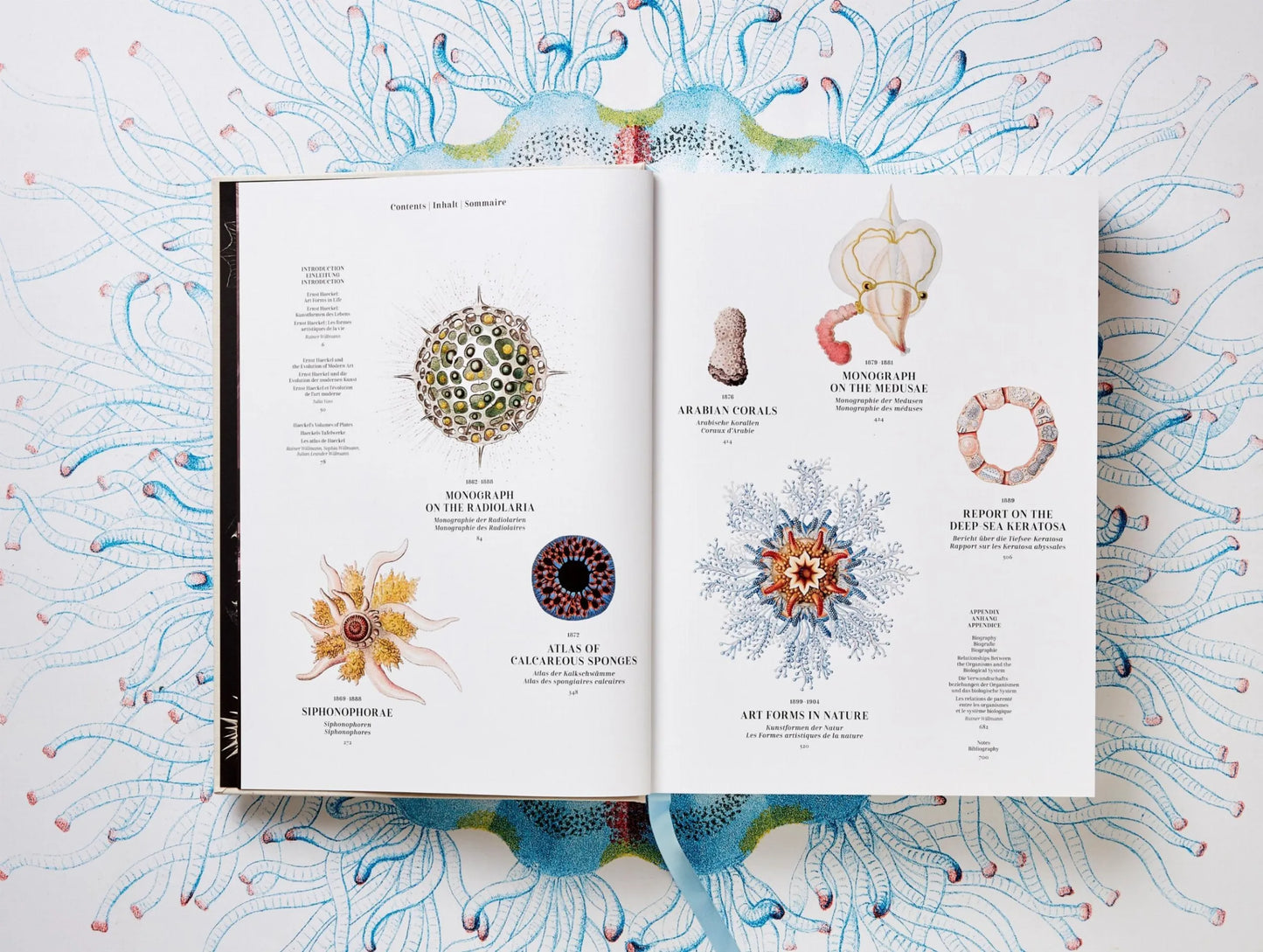 The Art & Science of Ernst Haeckel