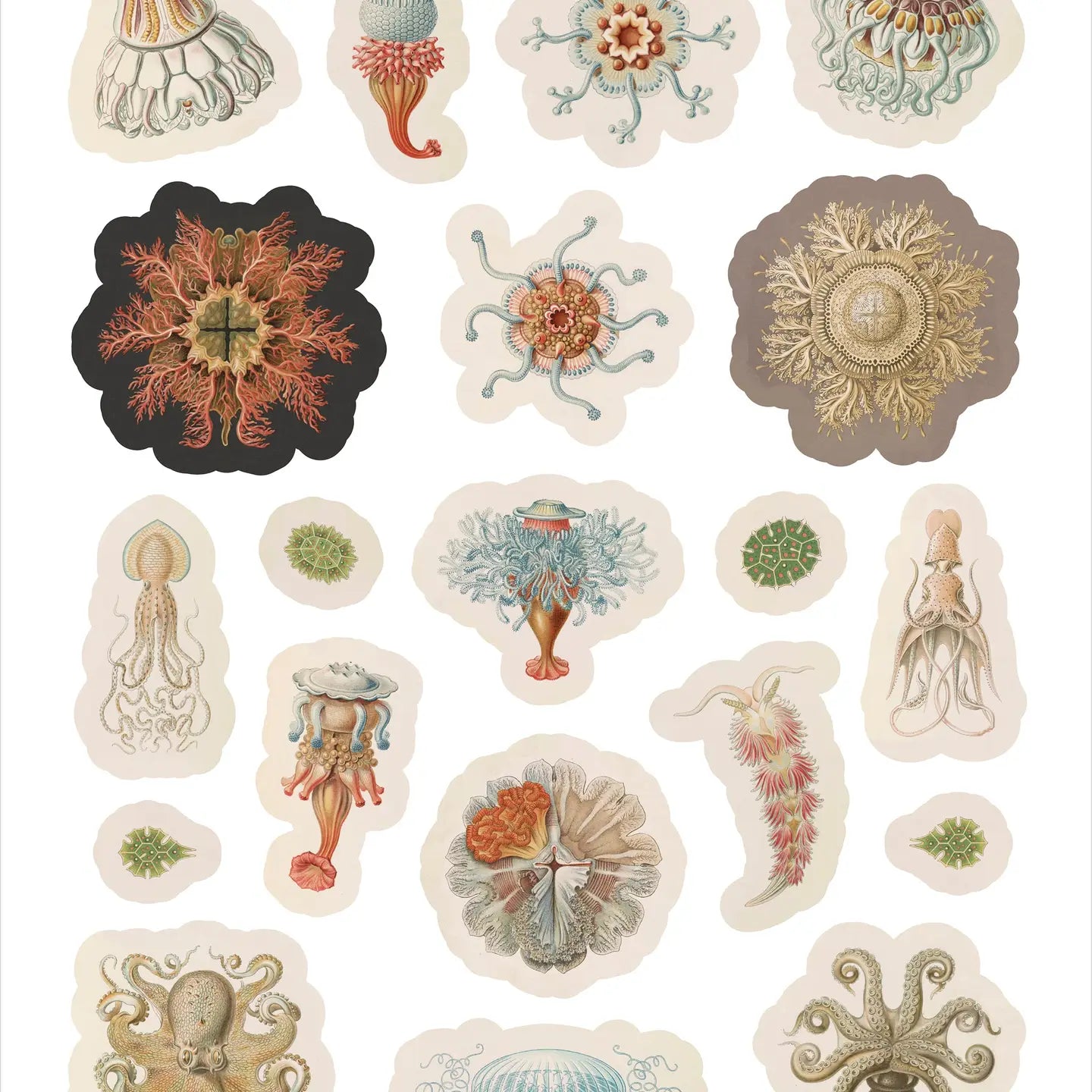 Ernst Haeckel: Art Forms in Nature Sticker Book