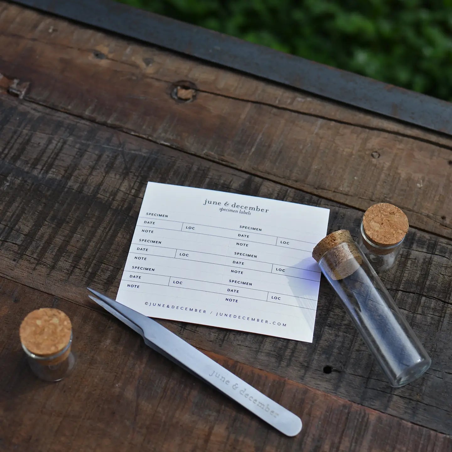 Botanical Specimen Forceps