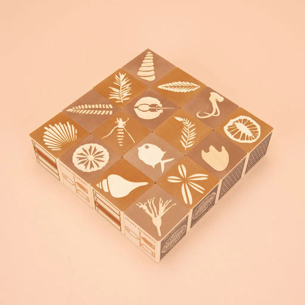 Fossil Blocks