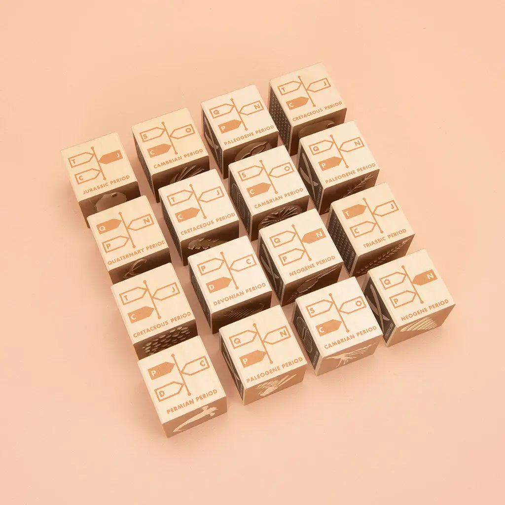Fossil Blocks