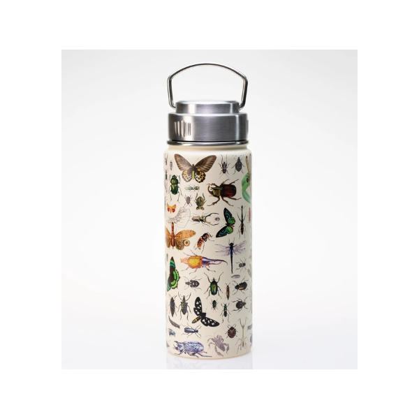 Steel Bottle